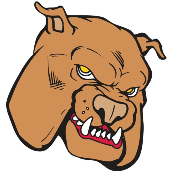 AR BDOG 41 RC Thumbnail