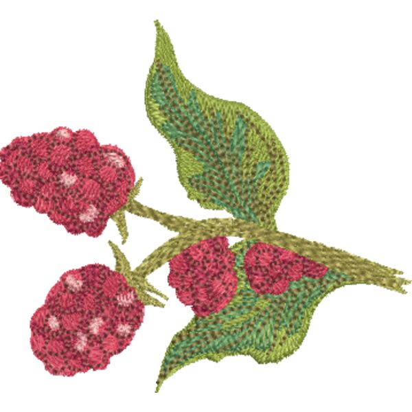NA309 Thumbnail